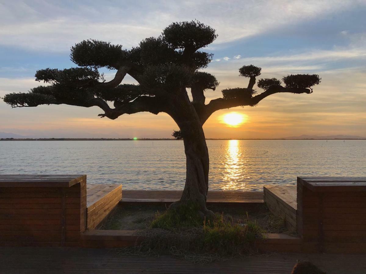Barcaresa-Appartement Belle Vue Mer Piscine Tennis Mini Golf Wifi Le Barcarès エクステリア 写真